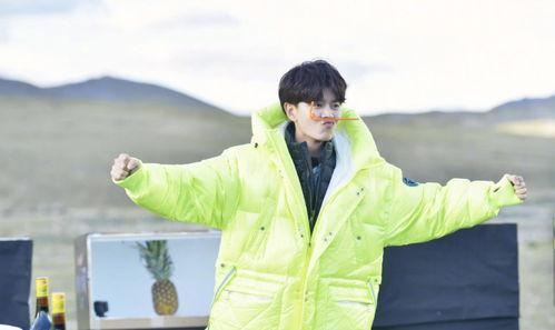 任嘉伦娱乐吃瓜,吃瓜群众揭秘幕后真相