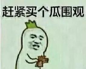 八卦娱乐吃瓜群众