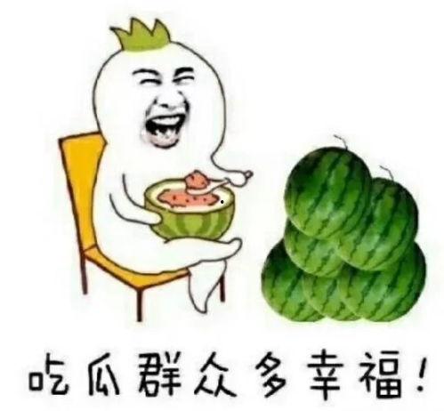 娱乐圈吃瓜元素