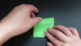 娱乐吃瓜君折耳,折耳背后的惊人真相